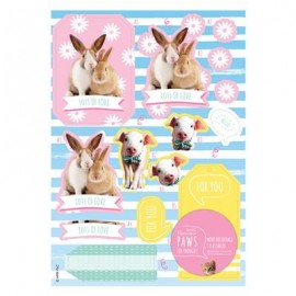 January 2017 Covermount - Mini Decoupage - Paws for Thought